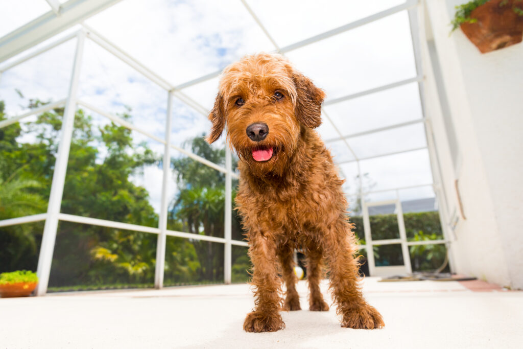 Getting A Screened Porch: 7 Amazing Ways It Will Improve Your Outdoor Space screened porch