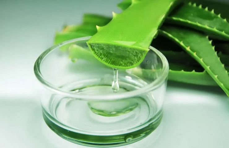 Aloe Vera Gel in Pakistan